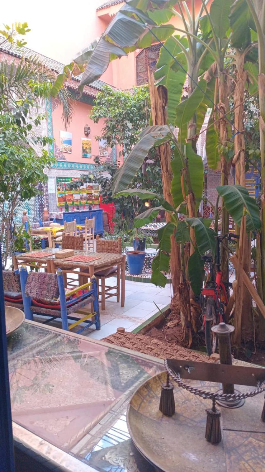 Riad Carole - Perfect For Families & Groups Marrakesh Ngoại thất bức ảnh